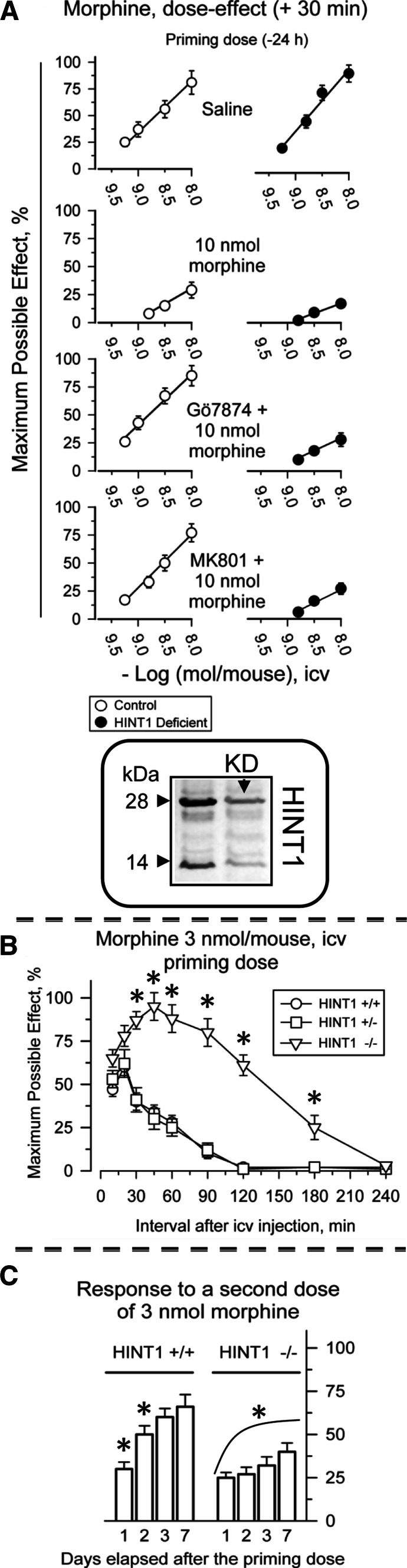 Fig. 8