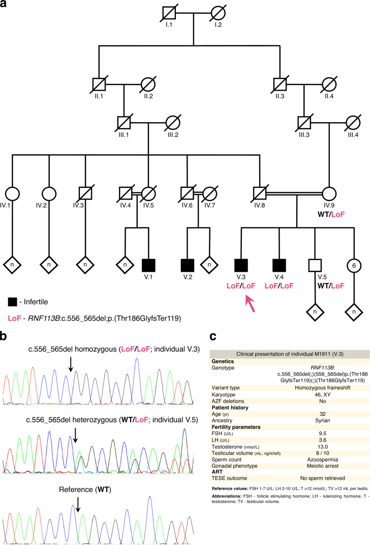 Figure 3—figure supplement 2.