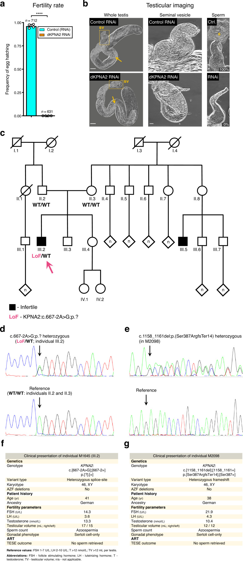 Figure 3—figure supplement 6.