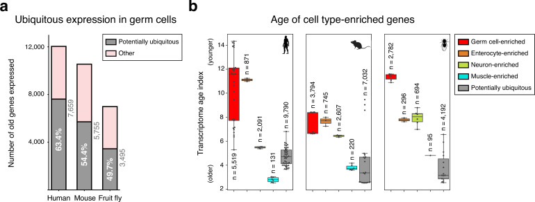 Figure 1—figure supplement 2.