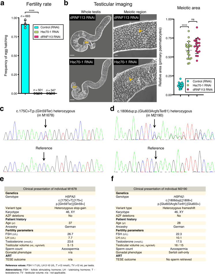 Figure 3—figure supplement 5.