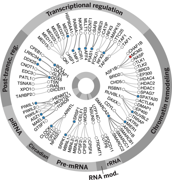 Figure 3—figure supplement 4.