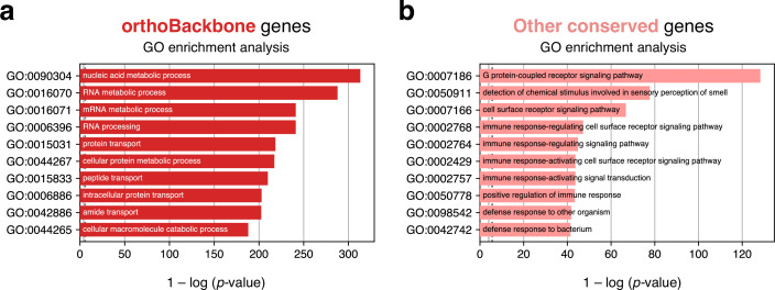 Figure 2—figure supplement 1.