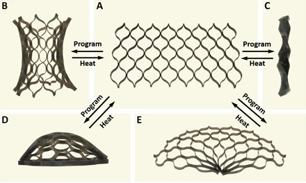 Fig. 5