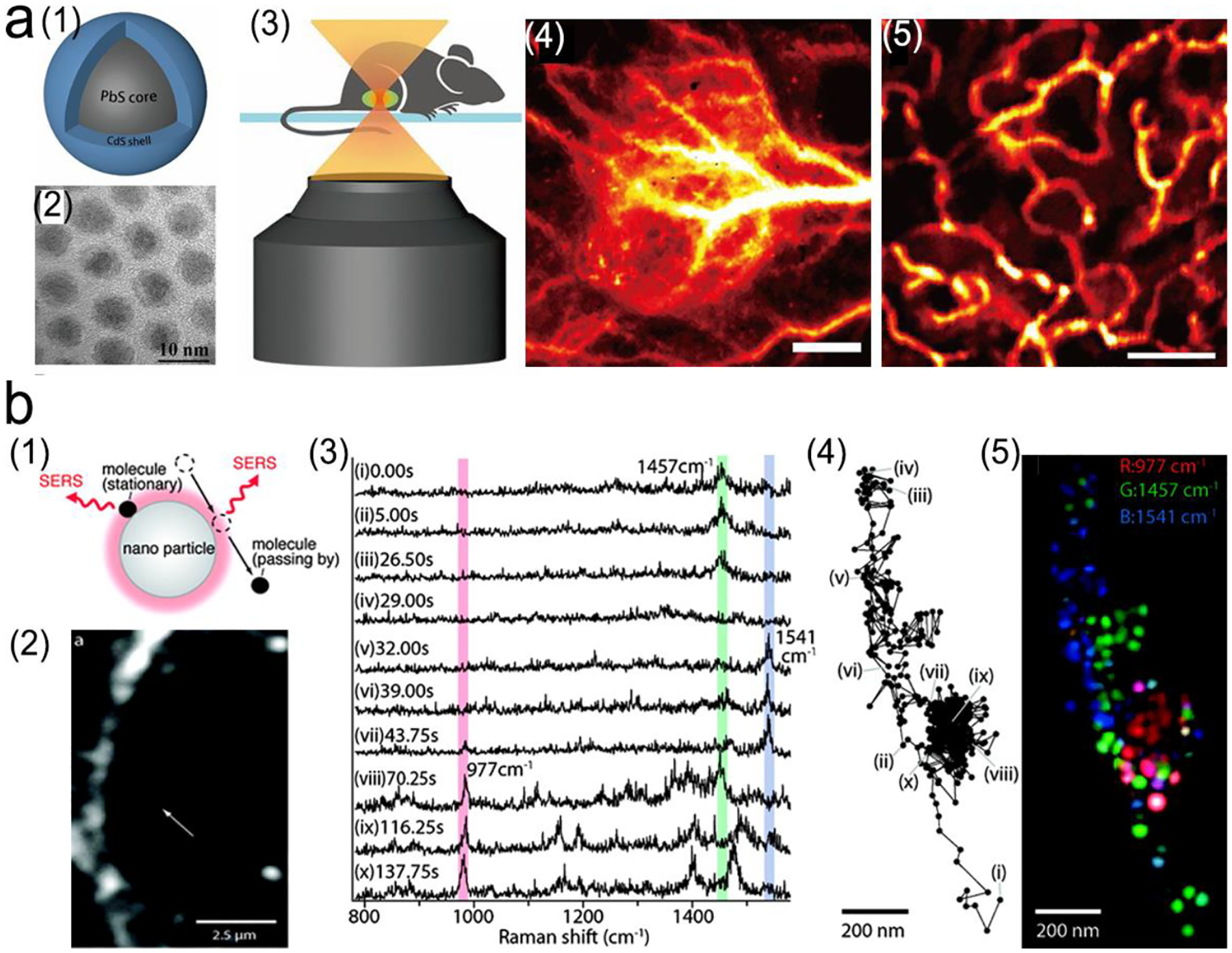 Figure 23.