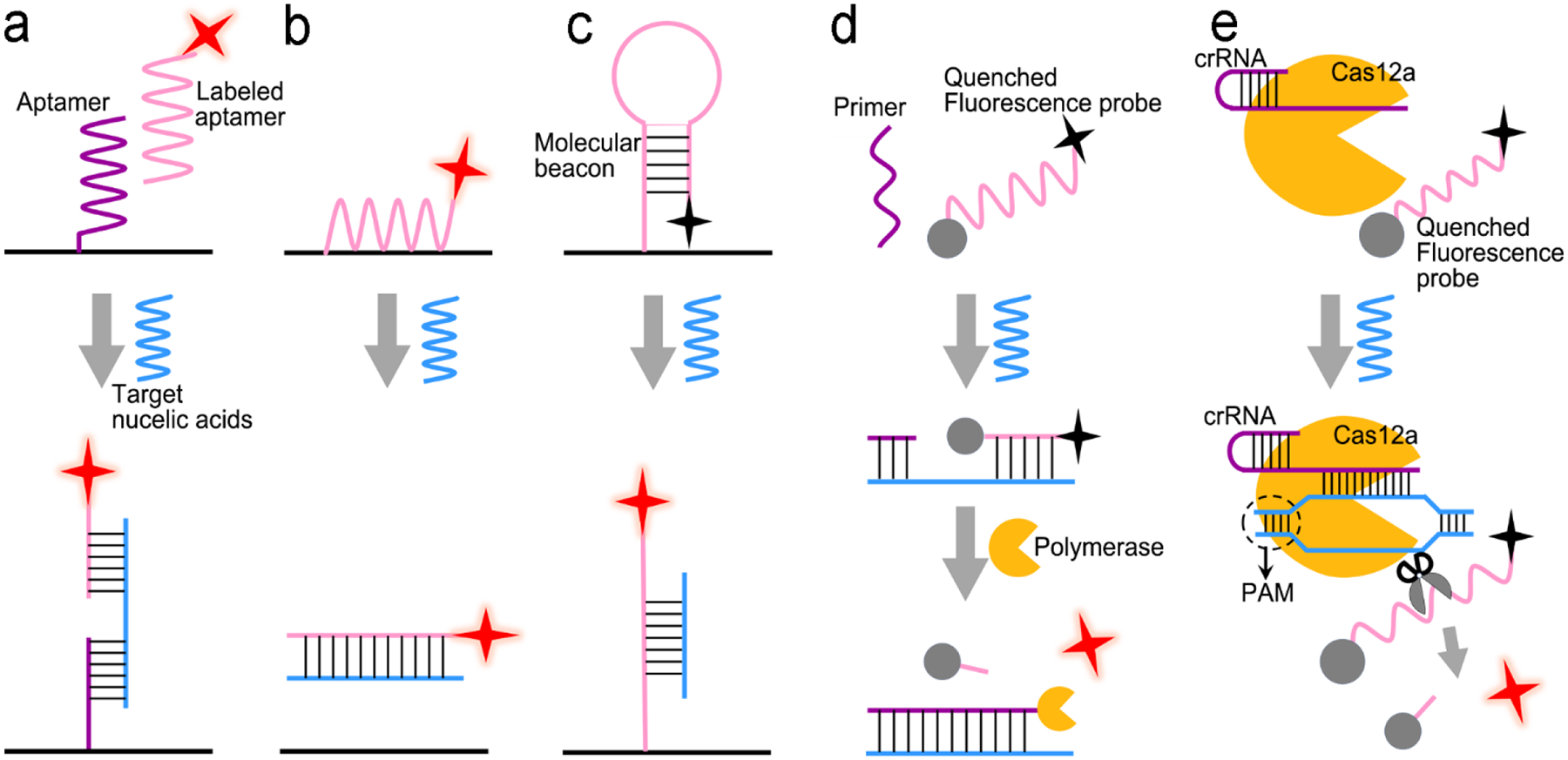 Figure 9.