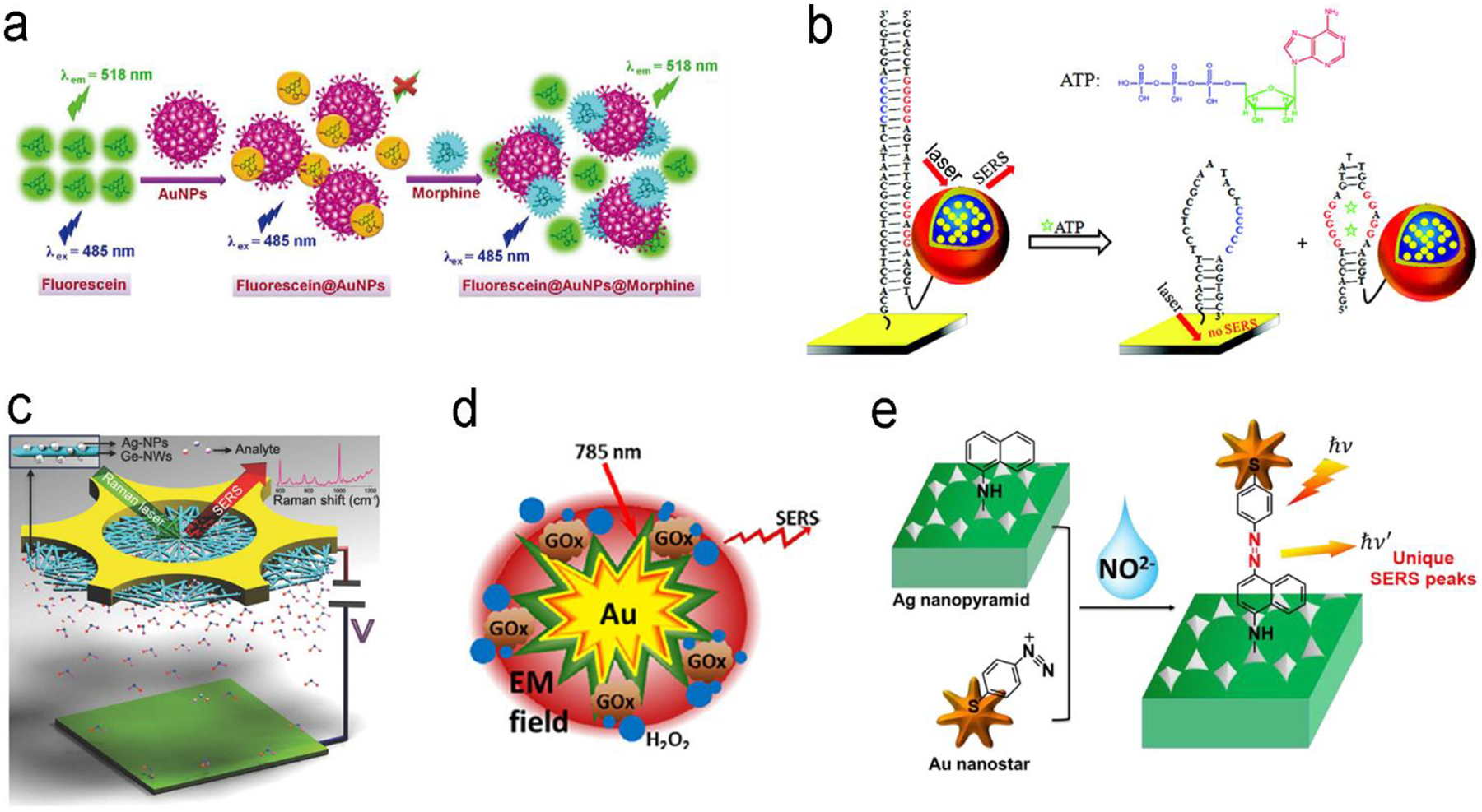 Figure 12.