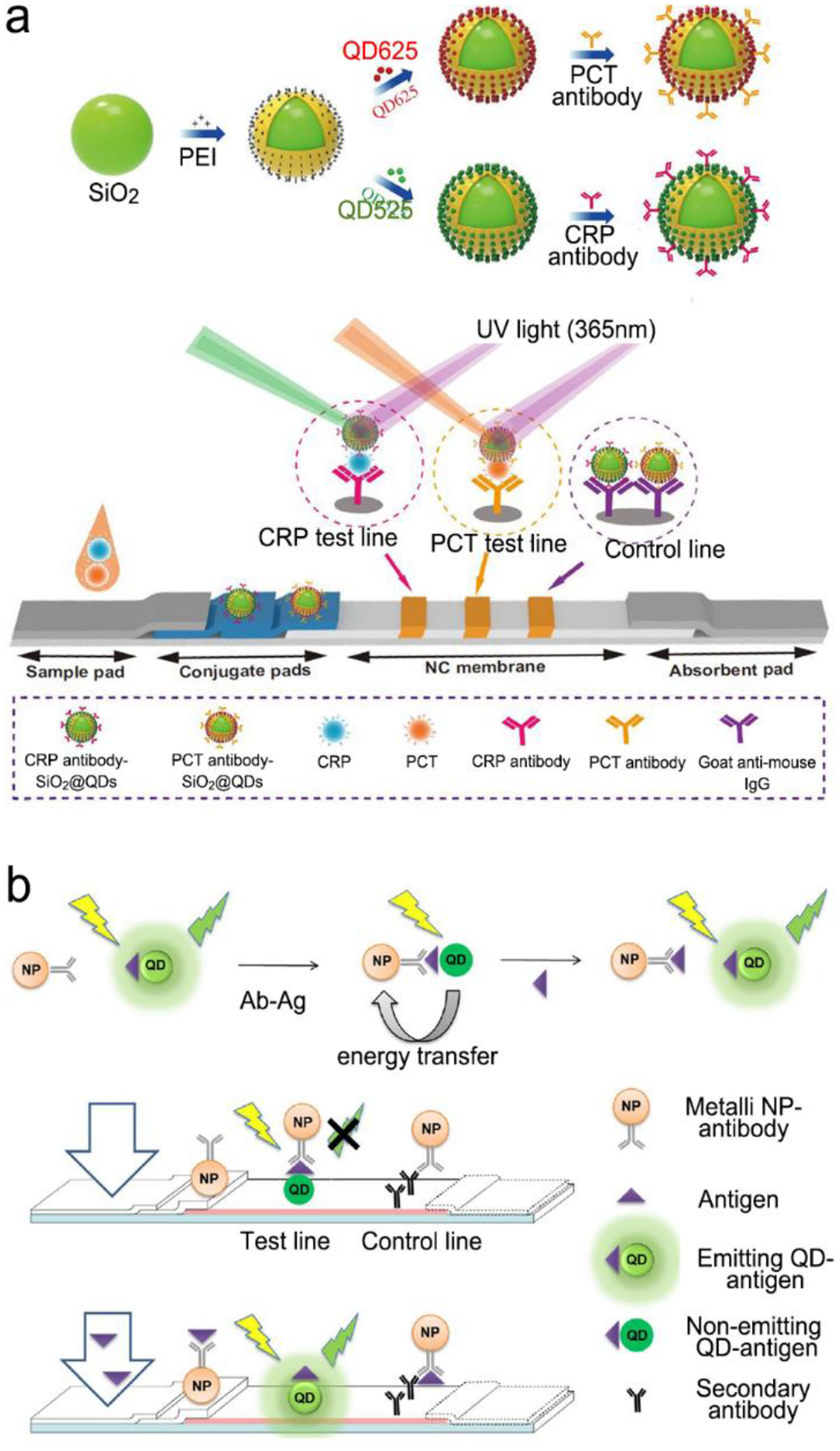 Figure 21.