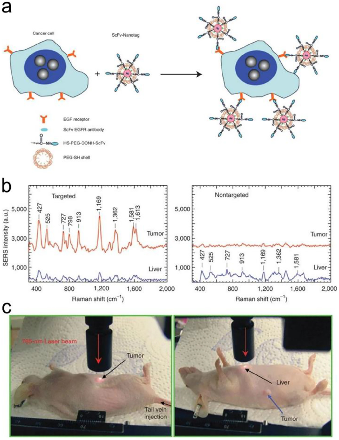 Figure 24.