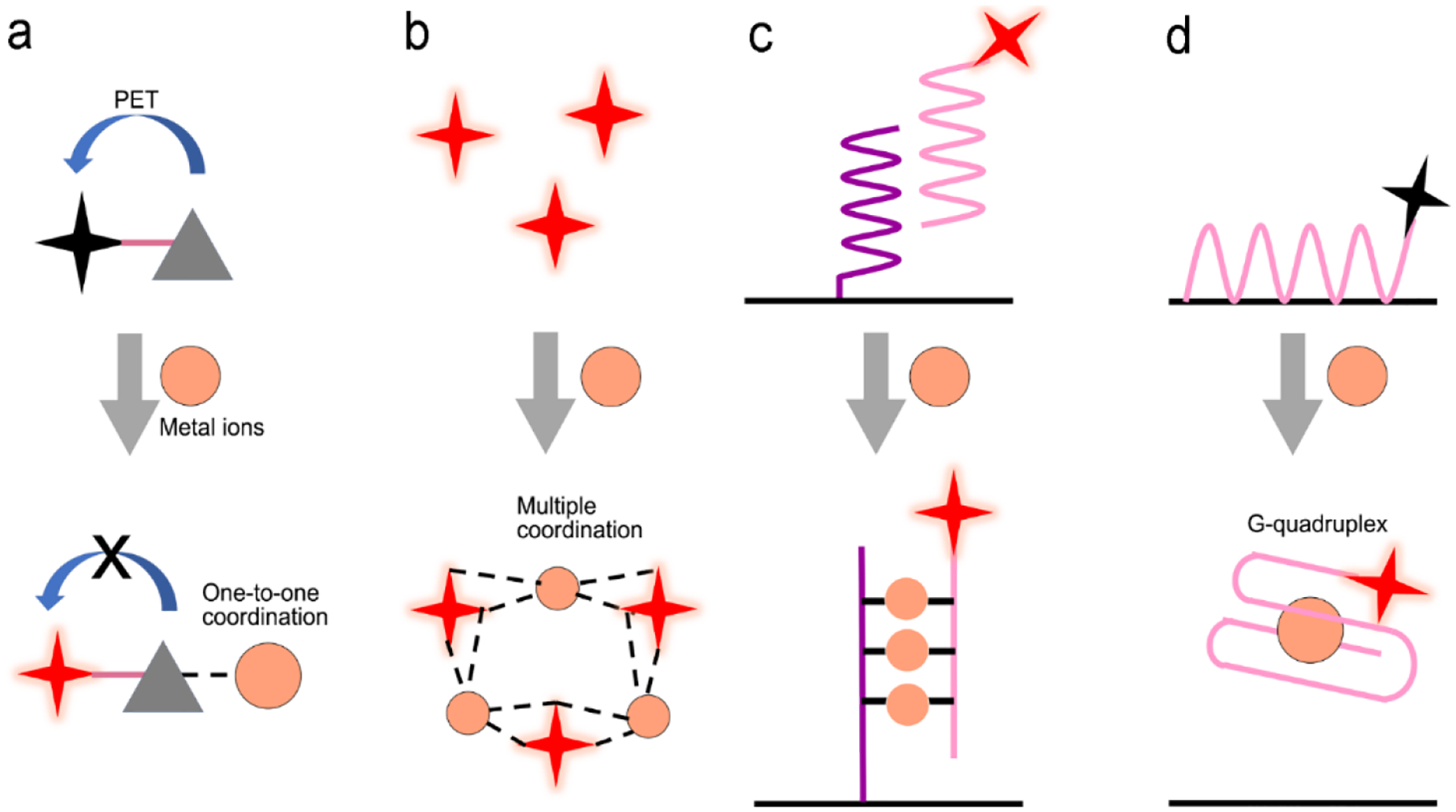 Figure 13.