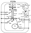 FIG. 1