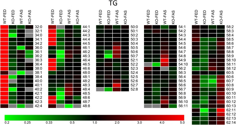 Fig. 4.