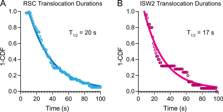 Figure 3—figure supplement 2.