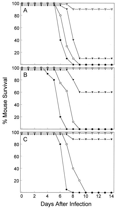 FIG. 1