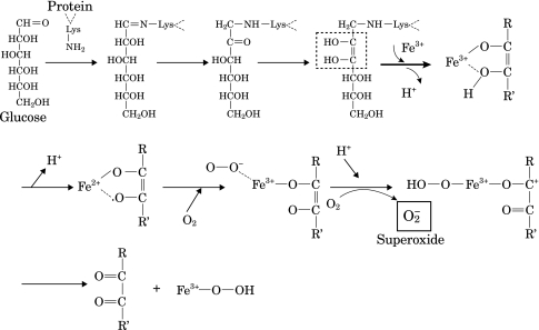 Fig. 7