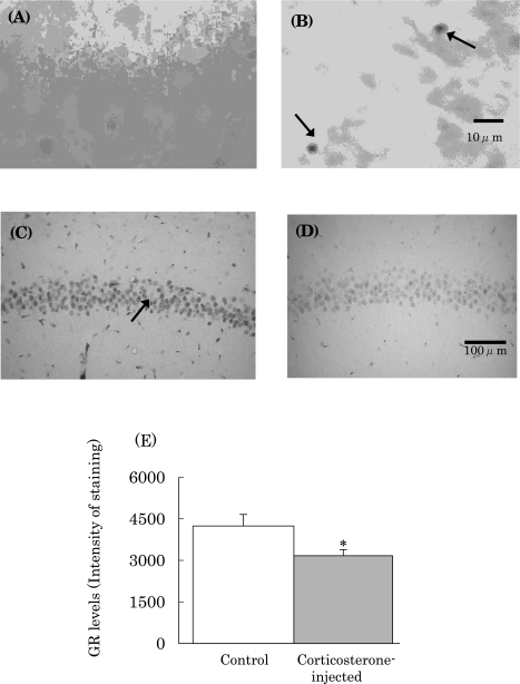 Fig. 5