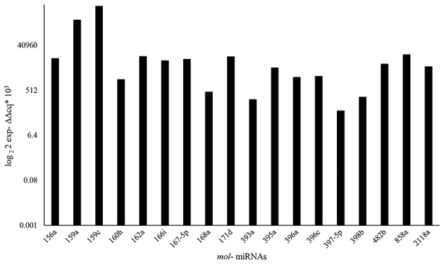 Figure 7.