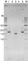 FIG. 2
