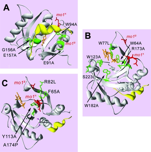 FIG. 2.