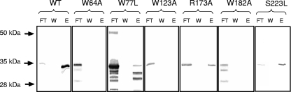 FIG. 6.