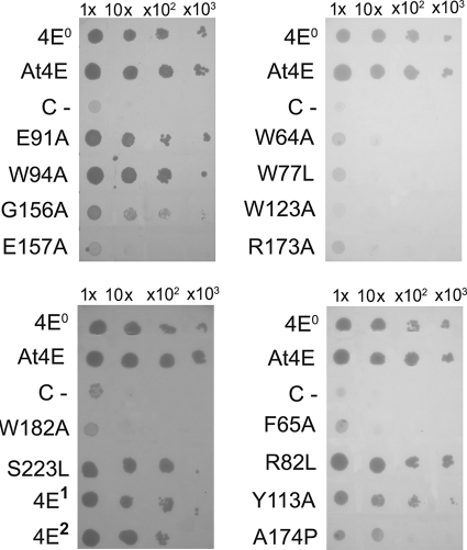 FIG. 7.