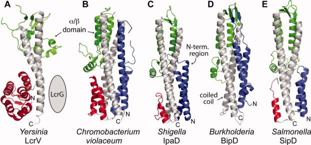 Figure 5