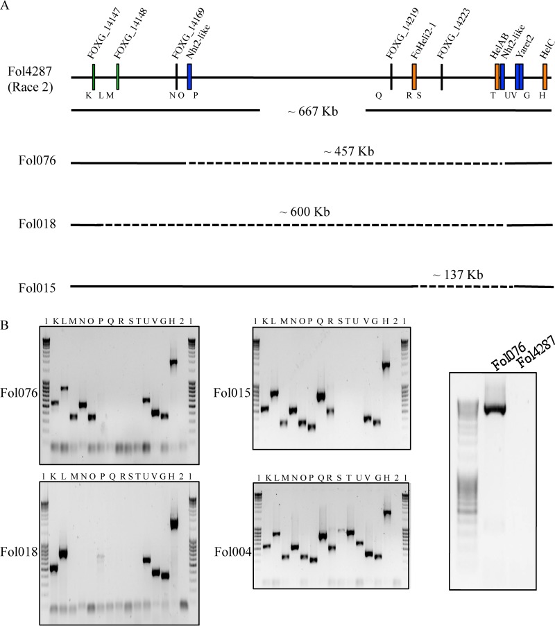 FIG 3