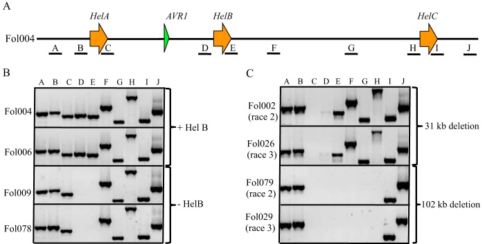 FIG 2