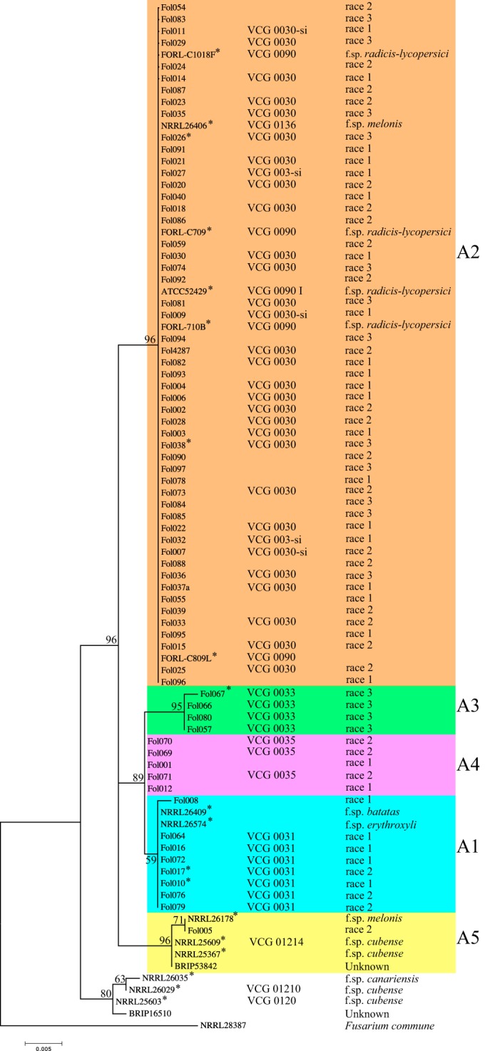 FIG 5