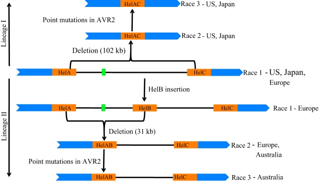 FIG 6