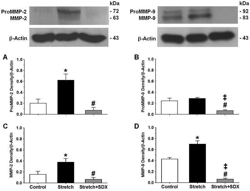 Fig.7.