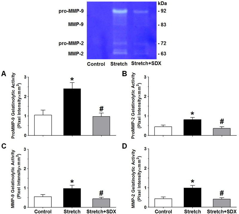 Fig.6.