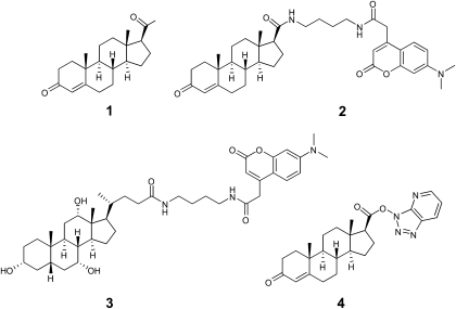 Fig. 1.