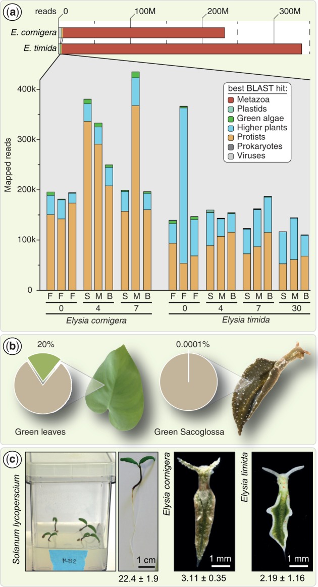 Fig. 2.—