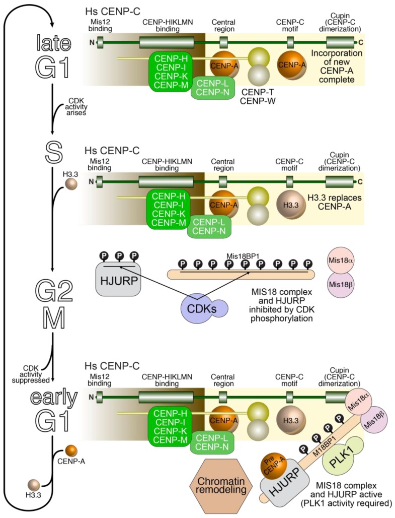 Figure 9