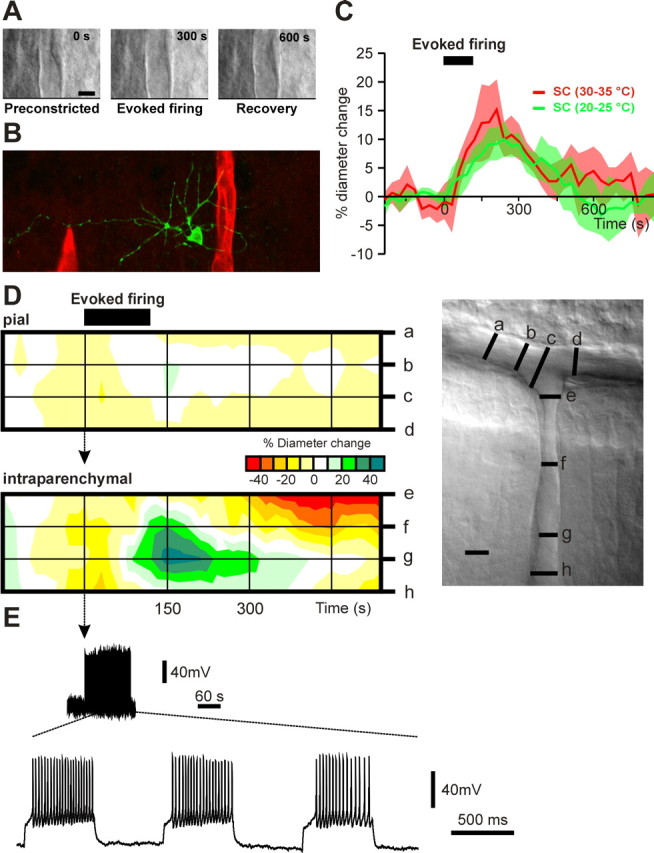 Figure 6.