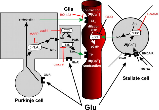 Figure 7.