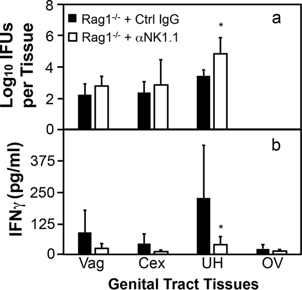 FIG 8