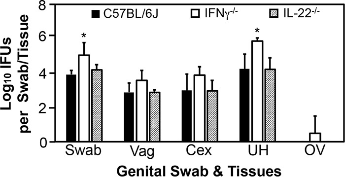 FIG 6