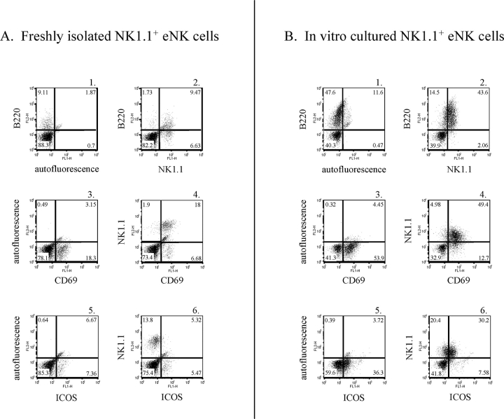 FIG. 4.