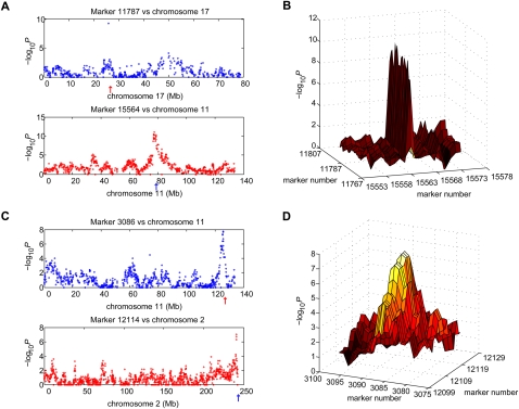 Figure 2.