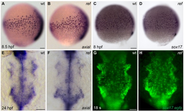 Figure 1—figure supplement 2.