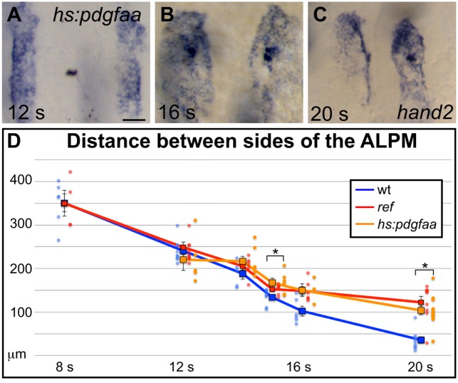 Figure 5—figure supplement 2.