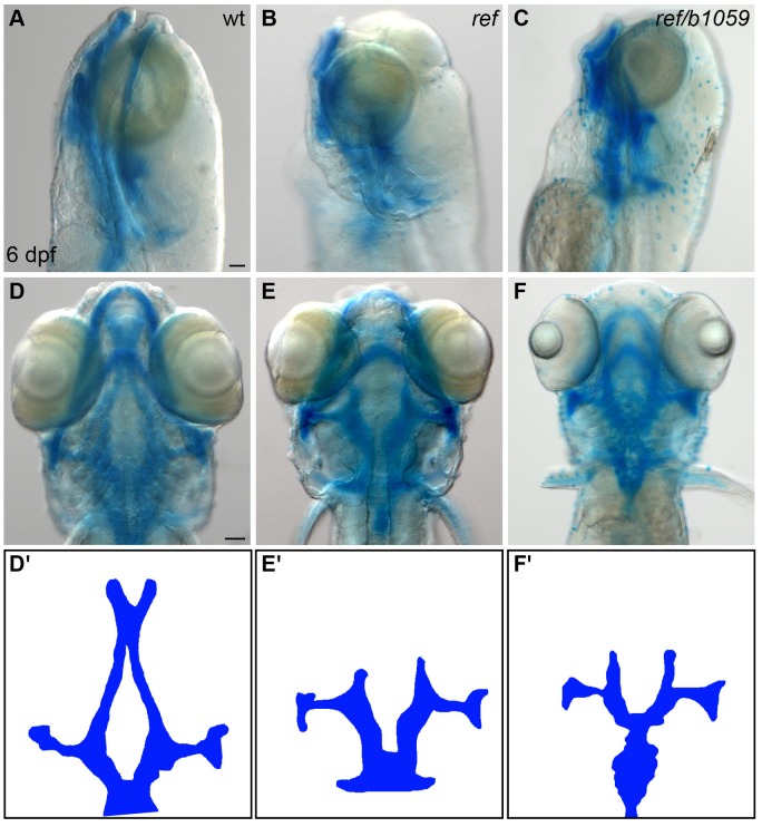 Figure 2—figure supplement 1.