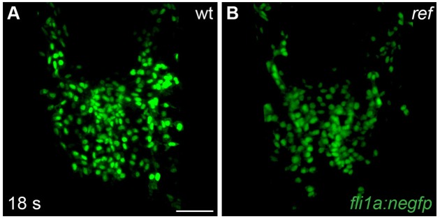 Figure 1—figure supplement 3.