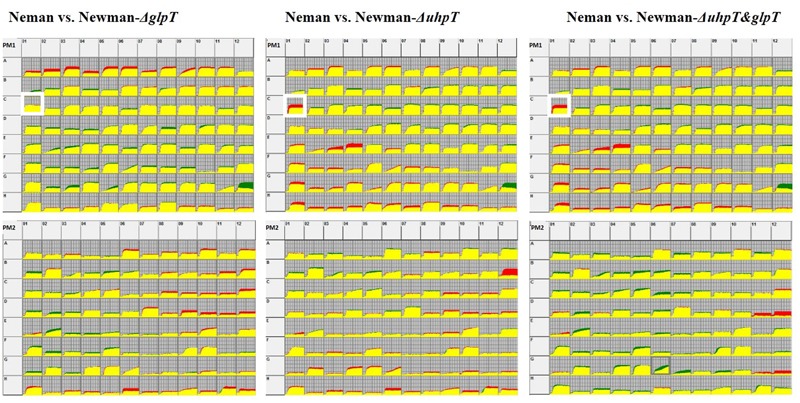 FIGURE 2