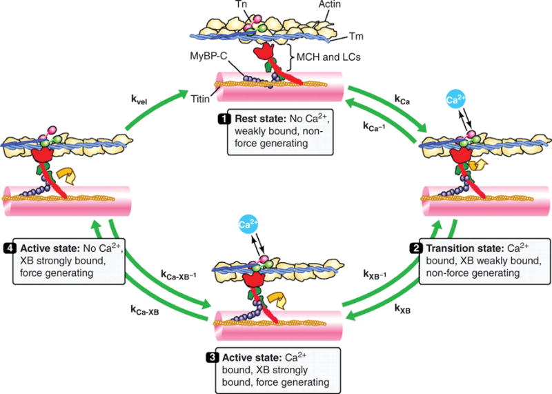 Figure 14