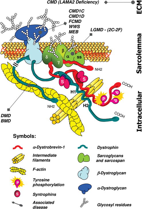 Figure 17