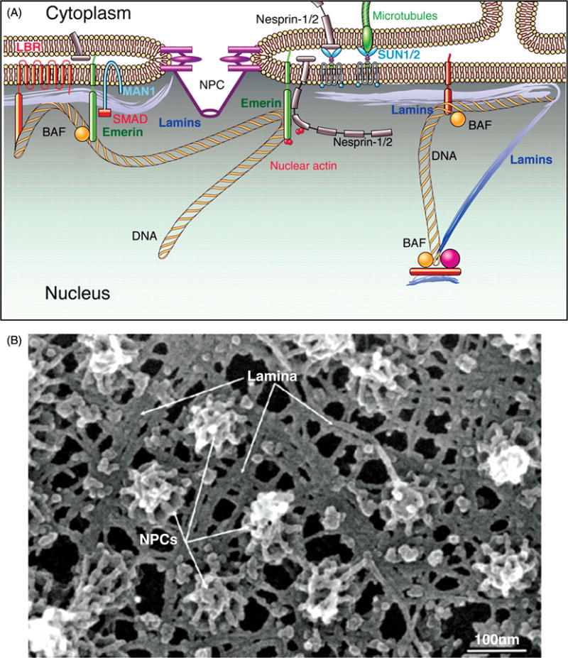 Figure 19