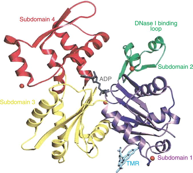 Figure 11